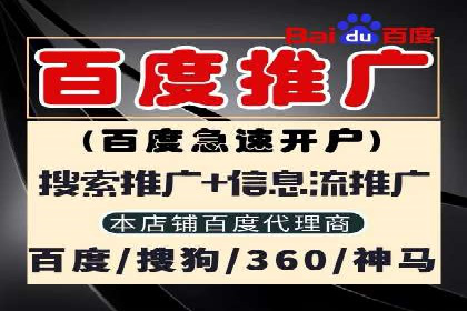 SEM推广代运营公司：实战案例解析